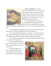 Grūdai kaip konventuotasis pašaras 3 puslapis
