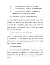 Hiperaktyvus vaikas 18 puslapis