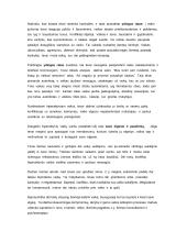 Hiperaktyvus vaikas 4 puslapis