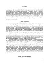 Hypertransport magistralė 1 puslapis