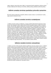 Ieškinio senaties samprata 3 puslapis