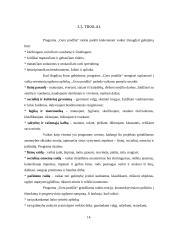 Ikimokyklinės ugdymo sistemos. Konceptualieji ir praktiniai pagrindai 14 puslapis