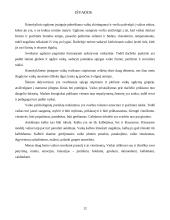 Ikimokyklinio ugdymo esmė, sėkmingo ugdymo ir pasaulio pažinimo pagrindai 12 puslapis