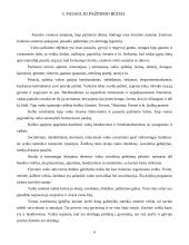 Ikimokyklinio ugdymo esmė, sėkmingo ugdymo ir pasaulio pažinimo pagrindai 6 puslapis