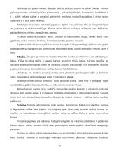 Ikimokyklinio ugdymo esmė, sėkmingo ugdymo ir pasaulio pažinimo pagrindai 10 puslapis