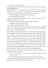 Ikimokyklinis ugdymas postmodernioje visuomenėje 5 puslapis