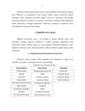 Ilgalaikio ir trumpalaikio turto formavimosi šaltiniai bei principai 2 puslapis