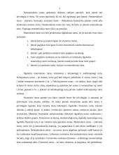 Ilgalaikio ir trumpalaikio turto formavimosi šaltiniai bei principai 3 puslapis
