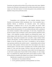 Ilgalaikio ir trumpalaikio turto formavimosi šaltiniai bei principai 4 puslapis