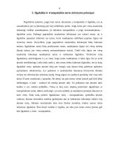 Ilgalaikio ir trumpalaikio turto formavimosi šaltiniai bei principai 8 puslapis
