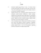 Ilgalaikio ir trumpalaikio turto formavimosi šaltiniai bei principai 9 puslapis