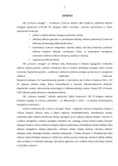 Įmonės analizė: elektros energijos perdavimas AB "Lietuvos energija" 2 puslapis