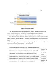 Įmonės analizė: elektros energijos perdavimas AB "Lietuvos energija" 11 puslapis
