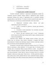 Įmonės aprašymas: restoranas IĮ "Meksika" 15 puslapis