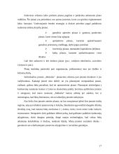 Įmonės aprašymas: restoranas IĮ "Meksika" 17 puslapis