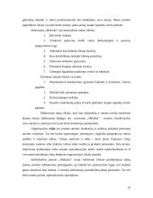 Įmonės aprašymas: restoranas IĮ "Meksika" 19 puslapis