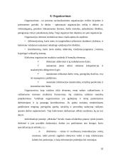 Įmonės aprašymas: restoranas IĮ "Meksika" 20 puslapis