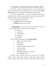 Įmonės aprašymas: restoranas IĮ "Meksika" 10 puslapis