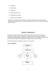 Įmonės logistika: UAB "Palink" parduotuvė IKI Nr. 294 6 puslapis