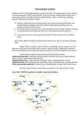 Įmonės logistika: UAB "Palink" parduotuvė IKI Nr. 294 7 puslapis