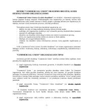 Įmonės organizacinė sandara ir valdymo struktūra: UAB "Commercial Union Lietuva Gyvybės draudimas" 2 puslapis