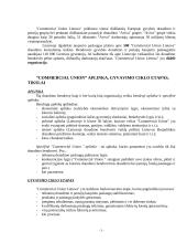 Įmonės organizacinė sandara ir valdymo struktūra: UAB "Commercial Union Lietuva Gyvybės draudimas" 3 puslapis
