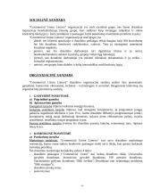 Įmonės organizacinė sandara ir valdymo struktūra: UAB "Commercial Union Lietuva Gyvybės draudimas" 6 puslapis