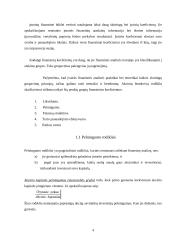 Įmonės pelningumo ir finansinių rodiklių apskaičiavimas 4 puslapis