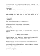 Įmonės pelningumo ir finansinių rodiklių apskaičiavimas 5 puslapis