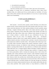 Įmonės sąnaudų įtaka įmonės efektyvumo rodikliams 13 puslapis