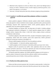 Įmonių ekonominiai tikslai ir veiklos formos 17 puslapis