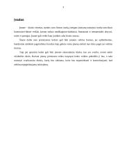 Įmonių ekonominiai tikslai ir veiklos formos 3 puslapis