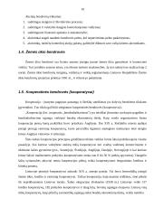 Įmonių ekonominiai tikslai ir veiklos formos 10 puslapis