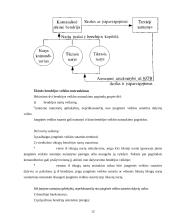 Įmonių rūšys ir jų atskyrimo problema 12 puslapis
