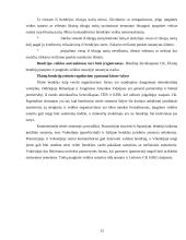 Įmonių rūšys ir jų atskyrimo problema 13 puslapis