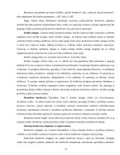 Įmonių rūšys ir jų atskyrimo problema 15 puslapis