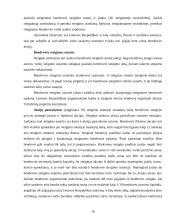 Įmonių rūšys ir jų atskyrimo problema 16 puslapis