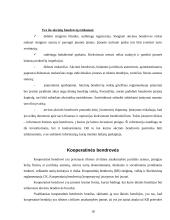 Įmonių rūšys ir jų atskyrimo problema 18 puslapis