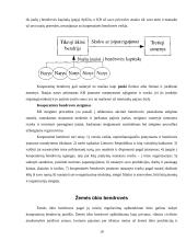 Įmonių rūšys ir jų atskyrimo problema 19 puslapis