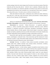 Įmonių rūšys ir jų atskyrimo problema 20 puslapis