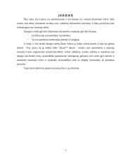 Įmonių rūšys ir jų atskyrimo problema 3 puslapis