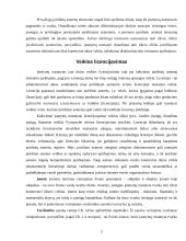 Įmonių rūšys ir jų atskyrimo problema 5 puslapis
