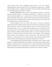 Įmonių rūšys ir jų atskyrimo problema 6 puslapis