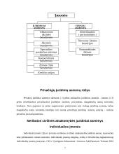 Įmonių rūšys ir jų atskyrimo problema 7 puslapis