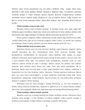 Įmonių rūšys ir jų atskyrimo problema 10 puslapis