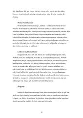 Indija. Etiketas 10 puslapis
