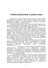 Individuali veikla pagal verslo pažymėjimus 11 puslapis