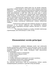 Individuali veikla pagal verslo pažymėjimus 5 puslapis