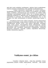 Individuali veikla pagal verslo pažymėjimus 7 puslapis