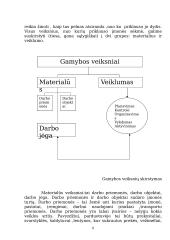 Individuali veikla pagal verslo pažymėjimus 8 puslapis
